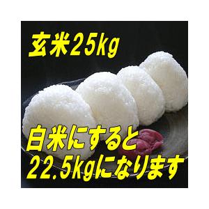 ひとめぼれ 米 お米 玄米 25kg 白米にすると22.5kg 送料無料 令和7年産