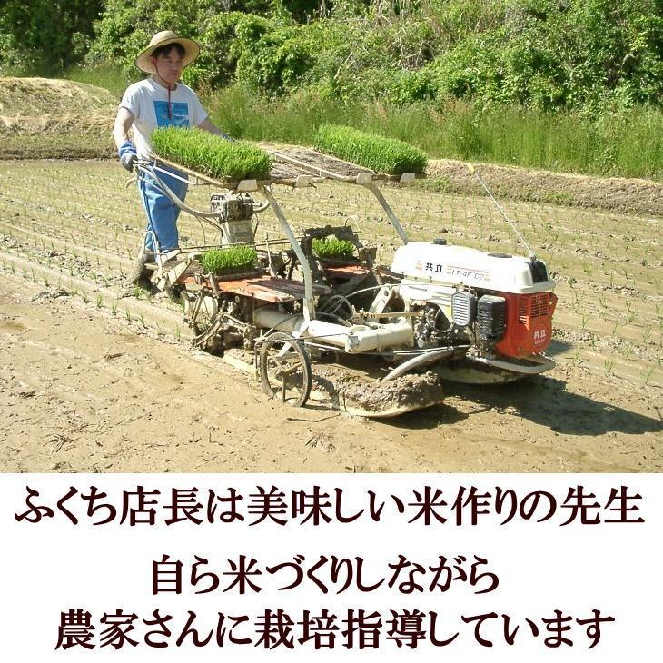 ひとめぼれ 米 お米 玄米 25kg 白米にすると22.5kg 送料無料 令和7年産