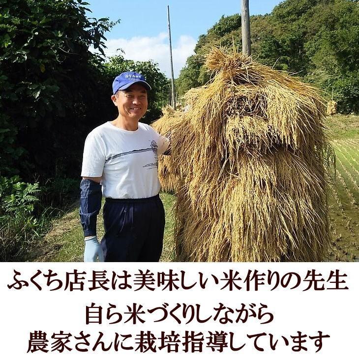 ひとめぼれ 米 天日干し 玄米 30kg 白米にすると27kg 令和7年産米 岩手
