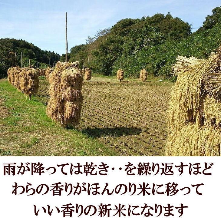 天日干しお米30キロ！ ひとめぼれ 米 天日干し 玄米 30kg 白米にすると27kg 令和7年産米 岩手