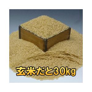ひとめぼれ 米 お米 ひとめぼれ 玄米 30kg 白米にすると27kg ひとめぼれ 米 お米 ひとめぼれ 玄米 30kg 白米にすると27kg