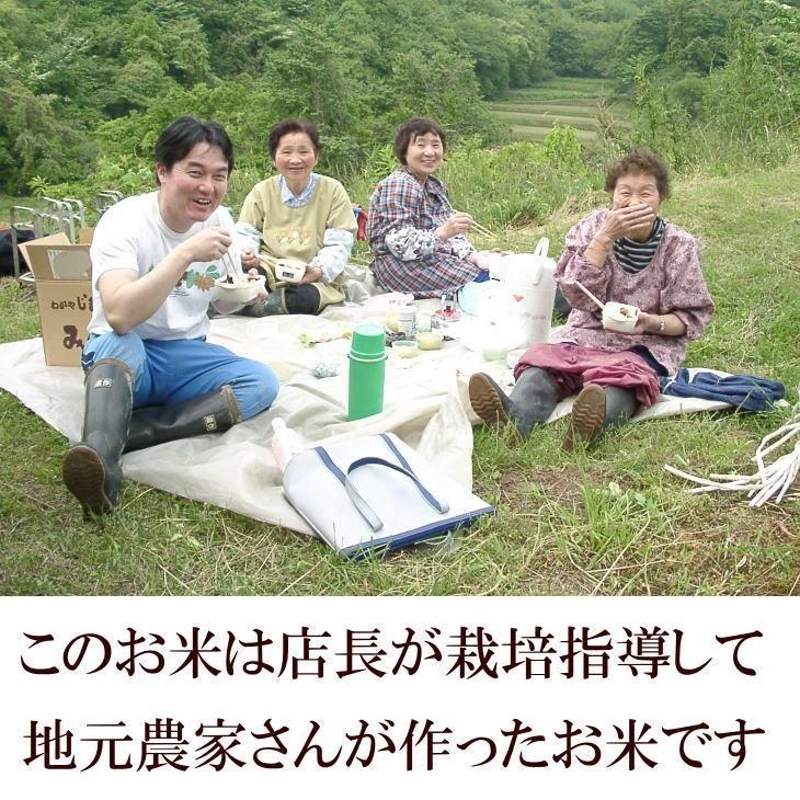 楽天市場】ササニシキ 5分づきの通販 米 天日干し ササニシキ 玄米 5kg 