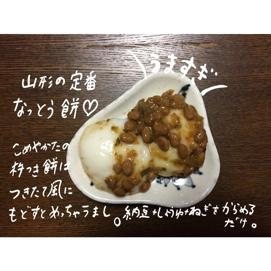 【1月15日以降発送】人力！杵つき餅 杵つき女もち　12個入　450ｇ |  | 04