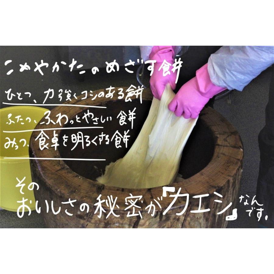 9/1予約受付スタート【12月発送】人力！杵つき餅 杵つき女もち　12個入　450ｇ |  | 01