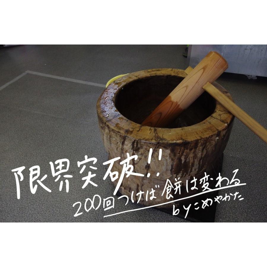 9/1予約受付スタート【12月発送】人力！杵つき餅 杵つき男もち　10枚入り　450ｇ |  | 09