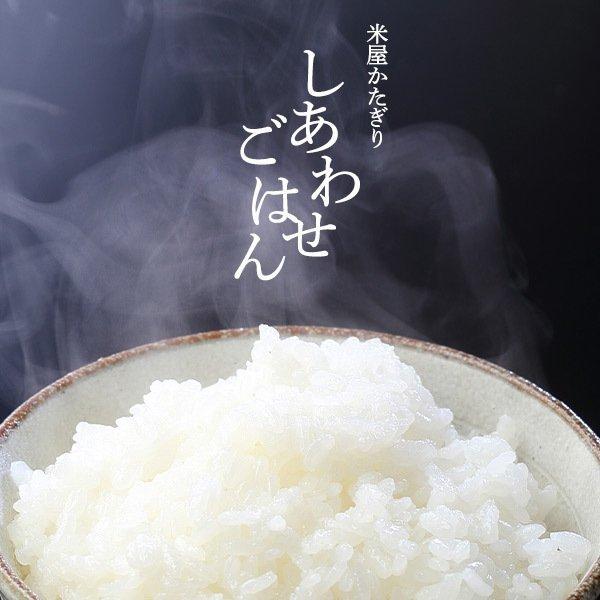 新米☆ こしひかり☆香取産☆美味しいお米 コシヒカリ 米 5Kg 新潟 令和7年産 白米 精米 単一原料 新潟県産