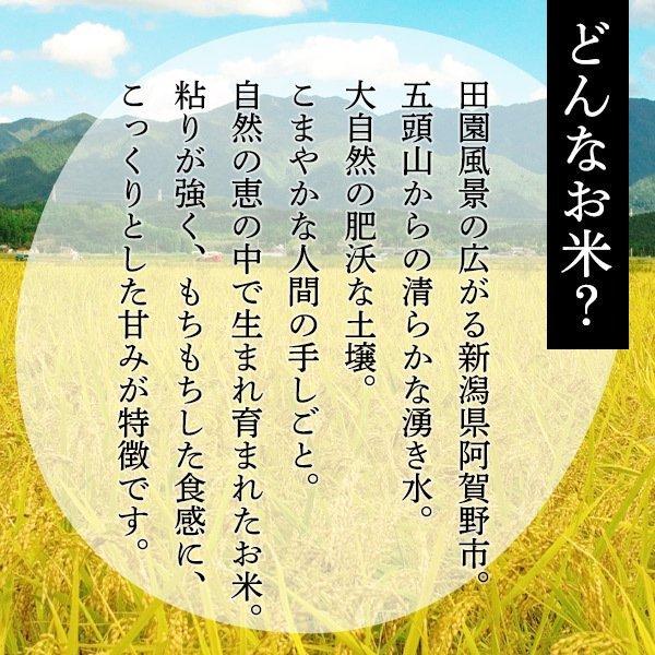 コシヒカリ 米 令和7年産 お米 5kg 新潟 送料無料 五頭山系 美味しいお