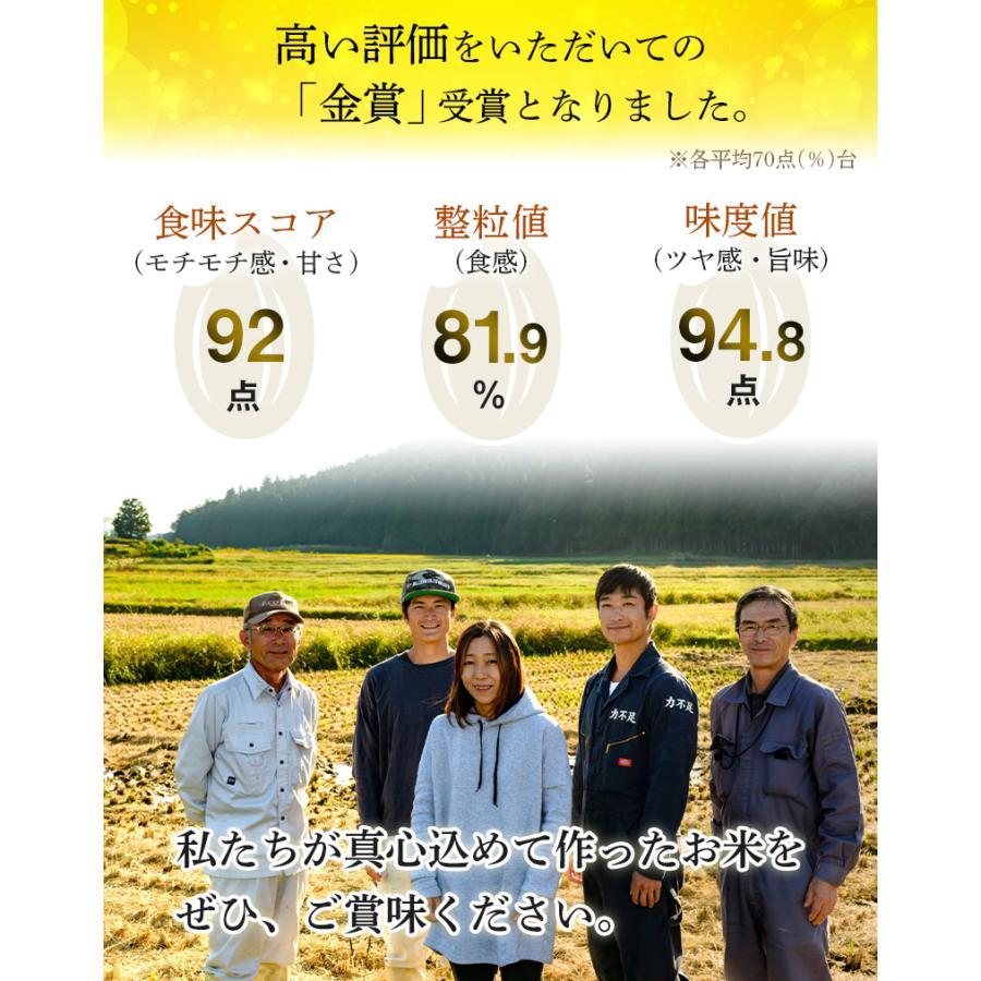 コシヒカリ 米 5kg 新潟産 金賞受賞 やまびこ米 美味しいお米 令和7産 