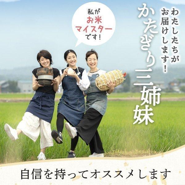 米 10Kg コシヒカリ 新潟 あすつく お米 令和5年 送料無料 米5kg×2 新潟県産 こしひかり お米 10キロ 美味しいお米 おいしい米 のし｜komeyakatagiri｜03