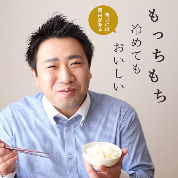 コシヒカリ 米 10Kg 新潟 送料無料 新米 5kg×2 お米 令和6年 コシヒカリ 米 10Kg 新潟 送料無料 新米 5kg×2 お米 令和6年