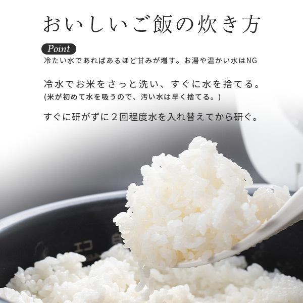 こしいぶき 【新米】米 5kg 新潟県産 5キロ 送料無料 令和8年産 新潟産