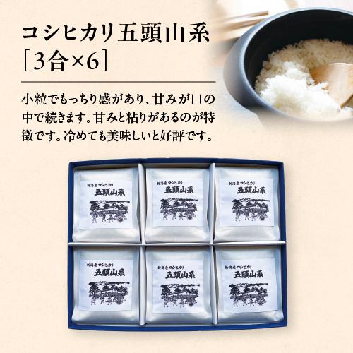 コシヒカリ 米 お米 ギフト 新潟産 令和7年 3合×6個入 白米 精米 単一