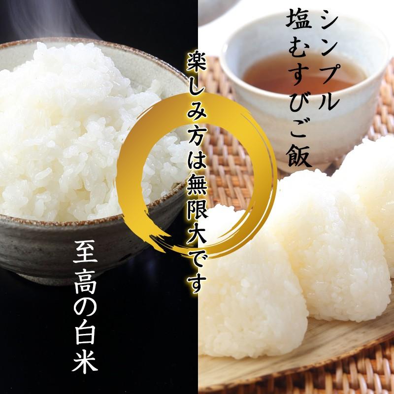 コシヒカリ 米 お米 ギフト 新潟産 令和7年 3合×6個入 白米 精米 単一