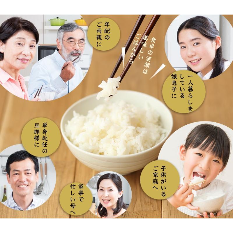 コシヒカリ 新米 ギフト 新潟米食べ比べ お米 送料無料 新潟産 新之助