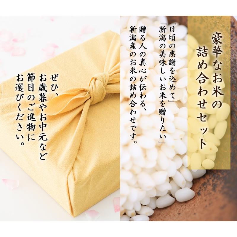 コシヒカリ 新米 ギフト 新潟米食べ比べ お米 送料無料 新潟産 新之助
