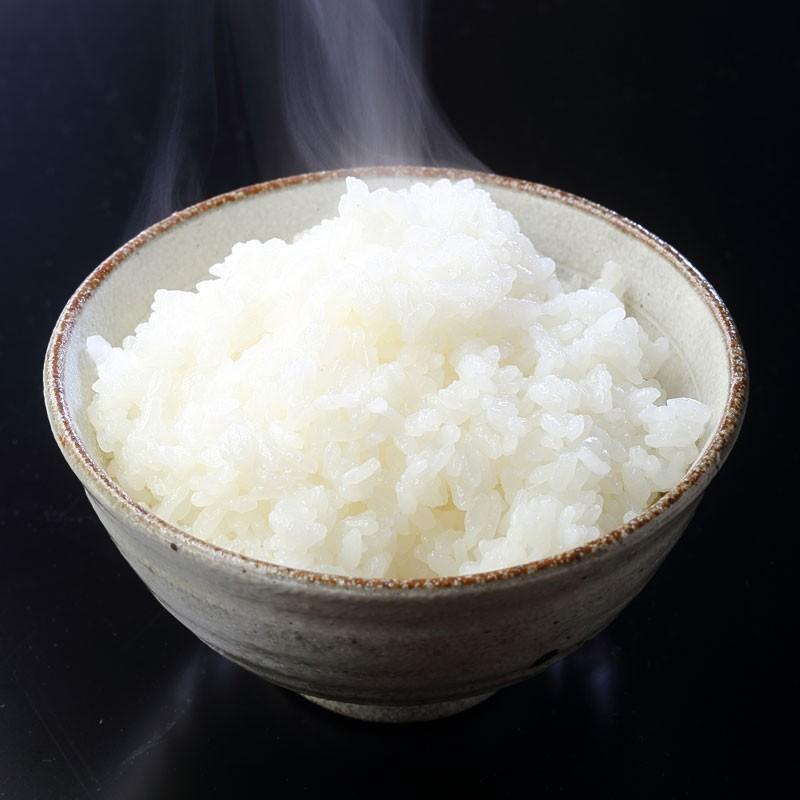 コシヒカリ 米 新之助 2kg×3 6kg 小分け 令和7年産 少量 お試し 大粒で