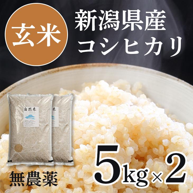 無農薬米新潟県産コシヒカリ20k XXxiHS52WL - godawaripowerispat.com