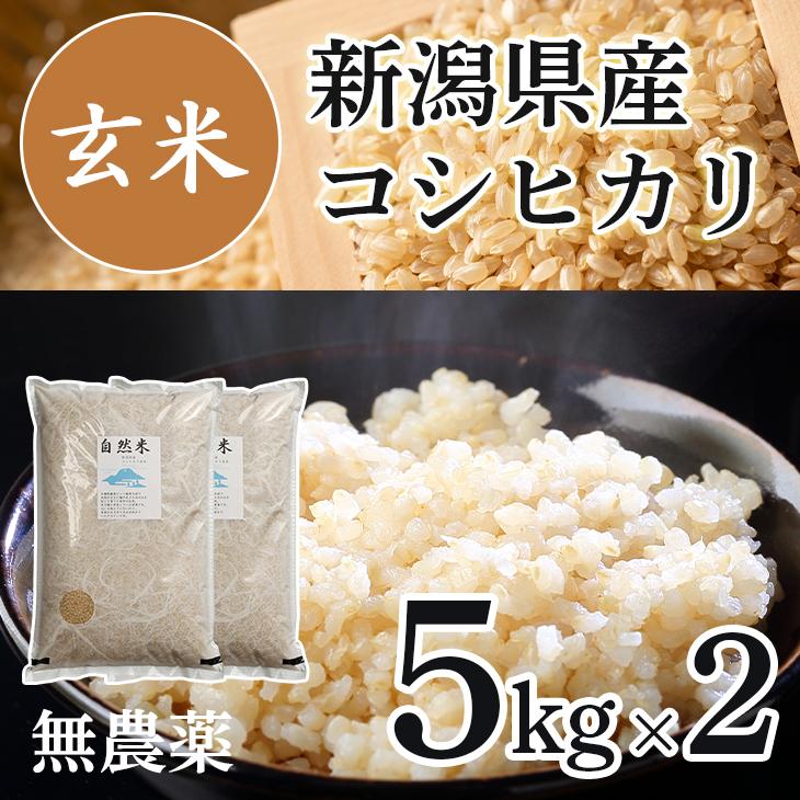 期間限定お試し価格 保存食 自然米 無農薬栽培 無肥料 高級 新潟産 コシヒカリ 新潟県産 米 無農薬 5kgx2袋 10キロ 10kg お米 玄米 無農薬の自然栽培で作られた玄米 コシヒカリ 新潟米 健康 21 送料無 食品 食べ物 米 雑穀 粉類 Postetelecom Gouv Cg