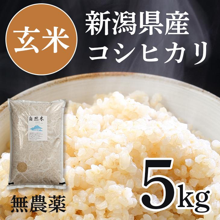 玄米 お米 5kg 5キロ 無農薬玄米 新潟県産 コシヒカリ 新潟産 こしひかり 高級 食品 無肥料 食べ物 無農薬栽培 保存食 送料無料 Sale 健康 自然米 21