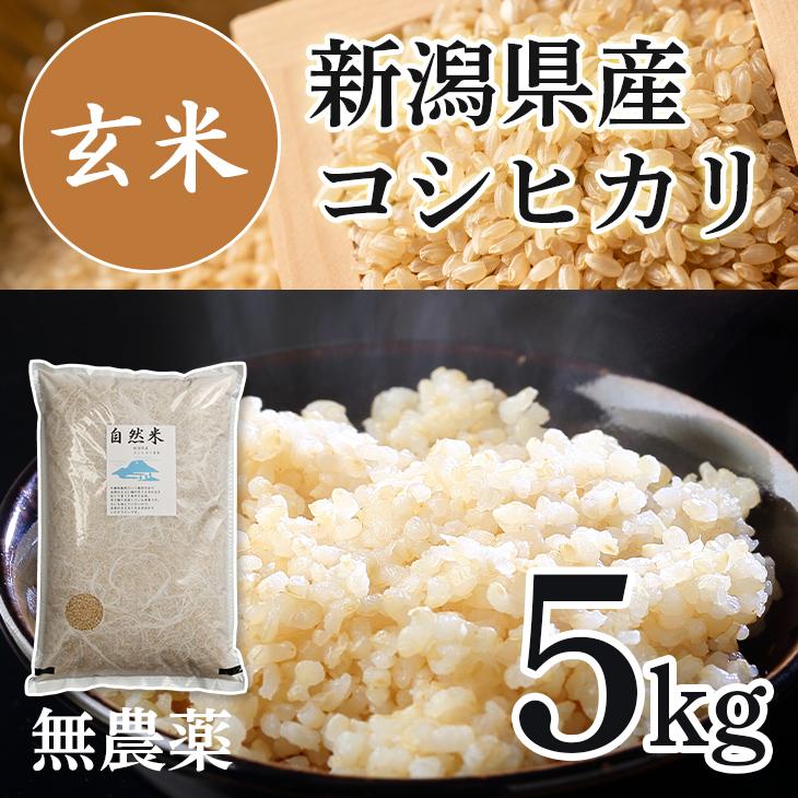 無農薬玄米 玄米 無農薬 5kg 令和5年産 コシヒカリ 新潟 送料無料 無農薬栽培 化学肥料不使用米 美味しい玄米 健康 おいしい ミネラル ビタミン あすつく｜komeyakatagiri｜02