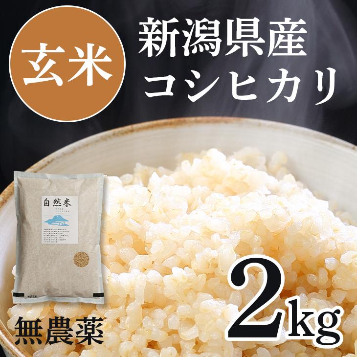 お米 玄米 2kg 2キロ 新潟県産 コシヒカリ 米 高級 新潟産 こしひかり 自然米 無農薬玄米 無肥料 健康 ギフト 保存食 食べ物 送料無料 21 C 米屋かたぎり 通販 Yahoo ショッピング