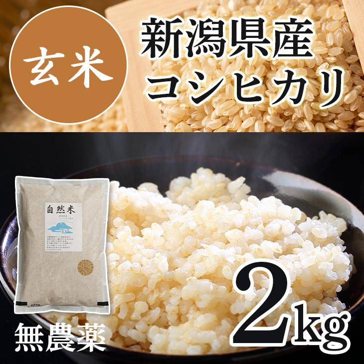 無農薬玄米 玄米 無農薬 2kg 令和5年産 送料無料 少量 お試し コシヒカリ 新潟 米 無農薬栽培 数量限定 美味しい玄米 あすつく 健康 ミネラル ビタミン｜komeyakatagiri｜02