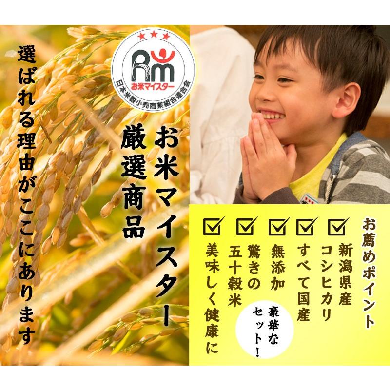 コシヒカリ 米 ギフト 新之助3合×6個 新潟県産 新之助 白米 精米 コシヒカリ 米 ギフト 新之助3合×6個 新潟県産 新之助 白米 精米