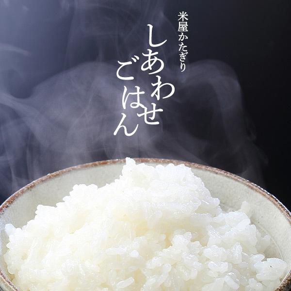 メーカー再生品 新潟産令和四年産従来コシヒカリ精米30キロ grupogap