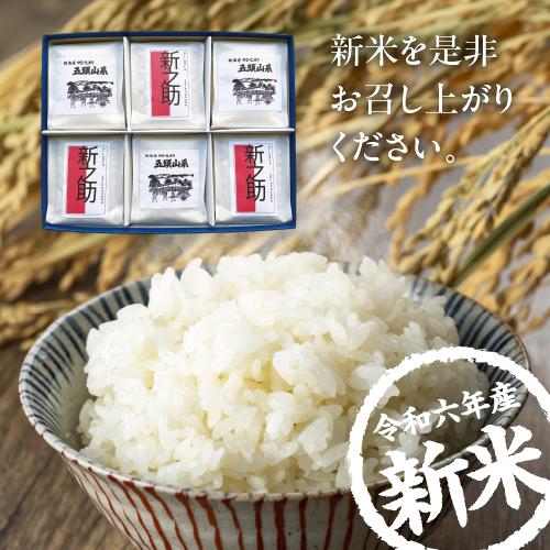 新米 日本の米コシヒカリ 真 魚沼産コシヒカリ 令和7年産新米 無洗米