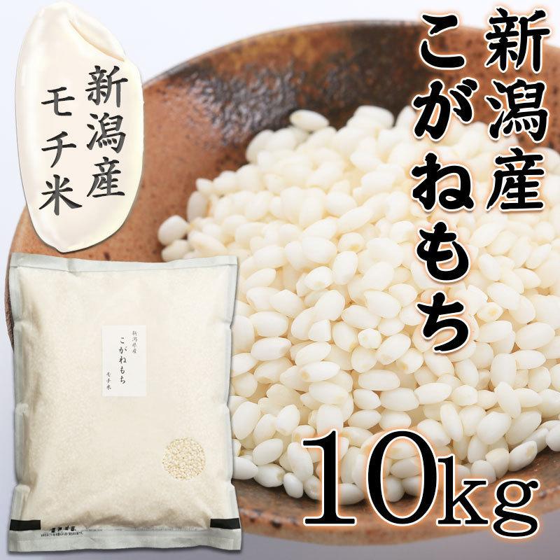 もち米 令和5年 こがねもち 10kg 5kg×2 送料無料 新潟県産 コガネモチ 新潟産 餅米 餅 米 お米 コメ おこわ 赤飯 美味しいお餅 10キロ｜komeyakatagiri