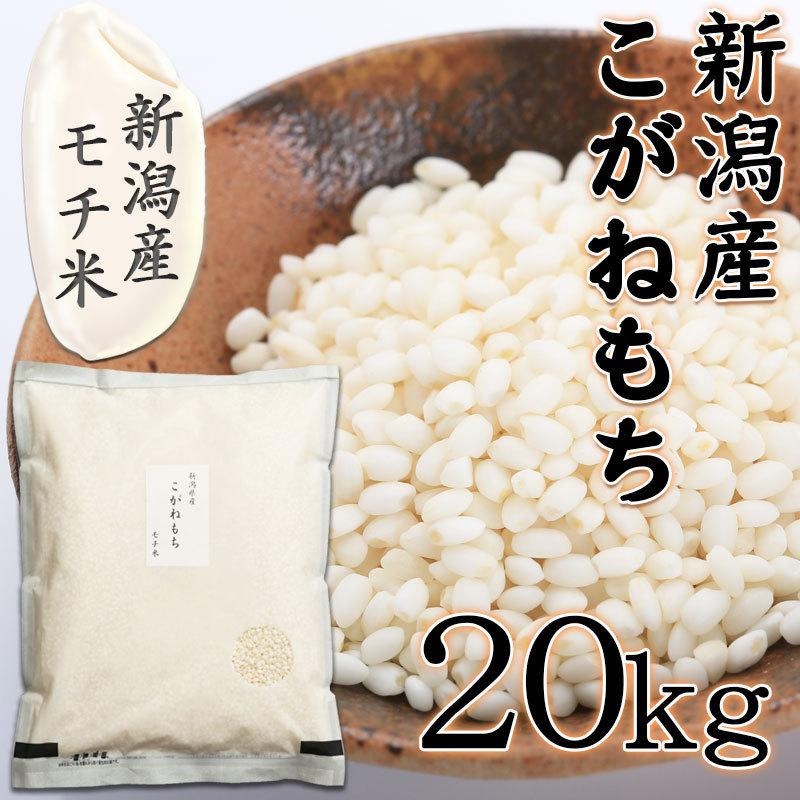 もち米 令和5年 こがねもち 5kg×4 20kg 送料無料 新潟県産 コガネモチ 20キロ 新潟産 餅米 餅 米 おこわ 赤飯 お米 美味しい おいしいお餅｜komeyakatagiri｜02