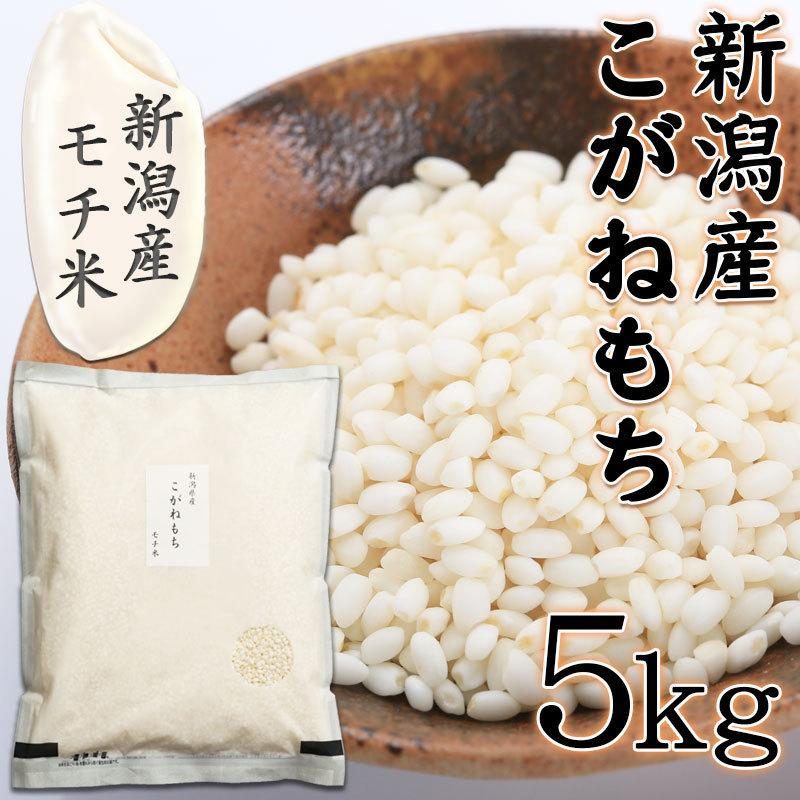 こがねもち 餅米 令和7年 もち米 5kg 新潟県産 送料無料 コガネモチ