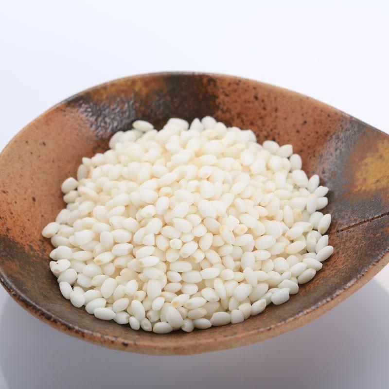 こがねもち 餅米 令和7年 もち米 5kg 新潟県産 送料無料 コガネモチ