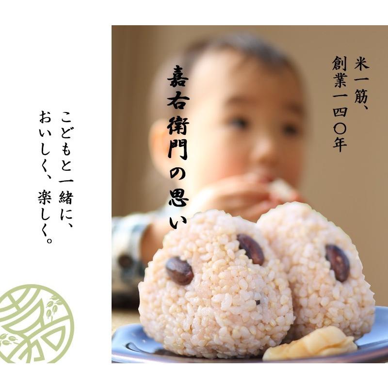 信州産コシヒカリ10㎏(精米済・令和6年収獲) タケノコご飯用筍3本付き tajimakosi_s1_10k.jpg