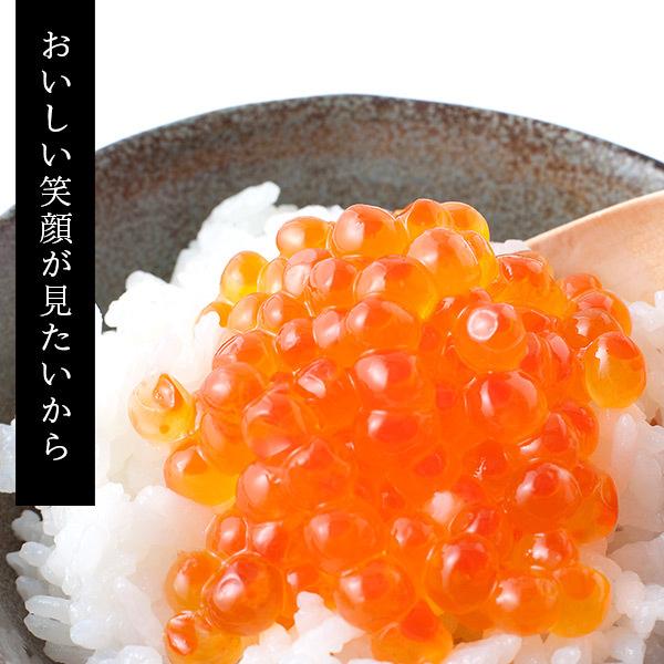 コシヒカリ 無洗米 令和6年産 米 10Kg 5Kg×2 送料無料 新潟 あす コシヒカリ 無洗米 令和6年産 米 10Kg 5Kg×2 送料無料 新潟 あす