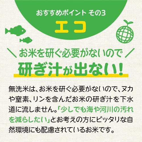 コシヒカリ 無洗米 令和6年産 米 10Kg 5Kg×2 送料無料 新潟 あす コシヒカリ 無洗米 令和6年産 米 10Kg 5Kg×2 送料無料 新潟 あす
