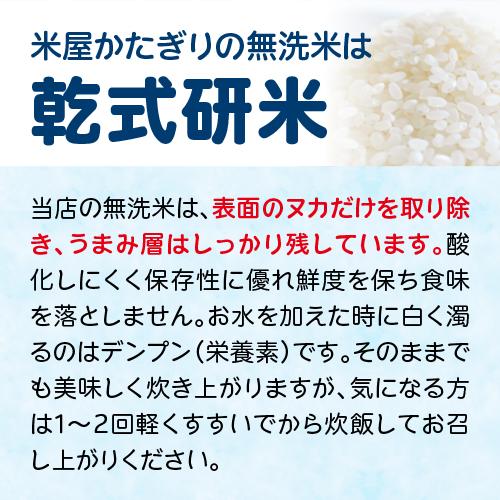 コシヒカリ 無洗米 令和6年産 米 10Kg 5Kg×2 送料無料 新潟 あす コシヒカリ 無洗米 令和6年産 米 10Kg 5Kg×2 送料無料 新潟 あす