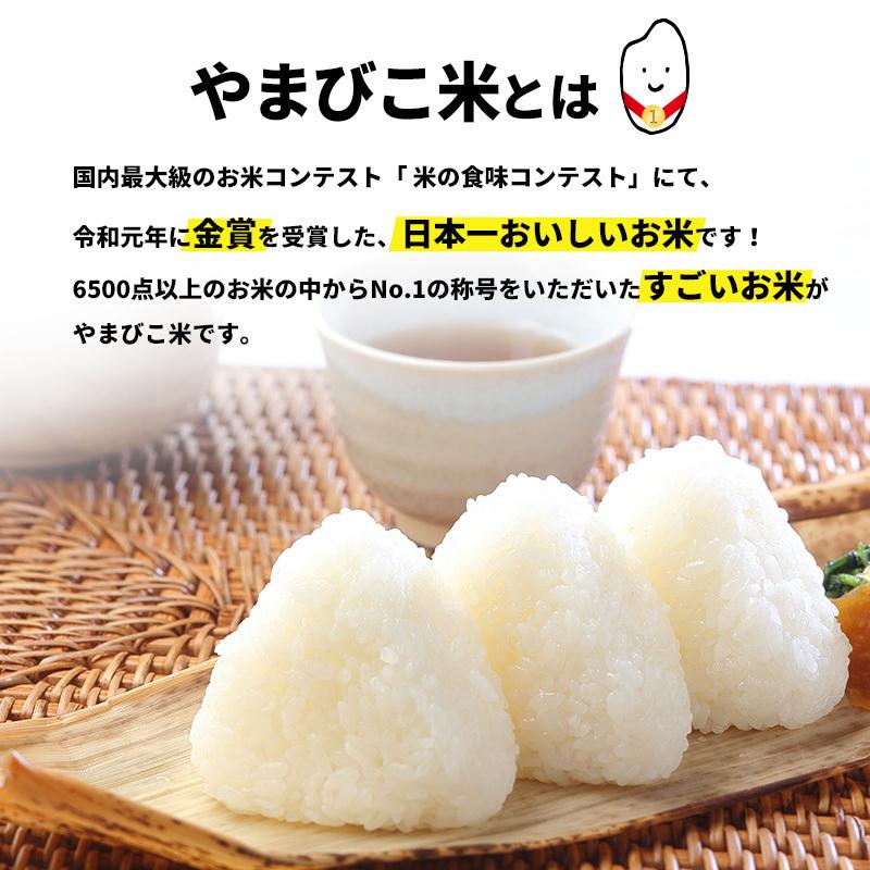 コシヒカリ 御中元 米 20kg 新潟産 金賞受賞 やまびこ米 美味しいお米