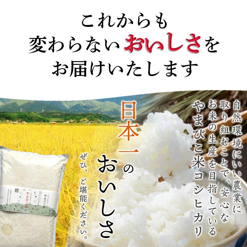 米 10kg 新潟産コシヒカリ 令和5年 お米 新潟 こしひかり 美味しいお米 5kg×2 送料無料 あすつく 高級米 金賞受賞米 やまびこ米 のし｜komeyakatagiri｜11