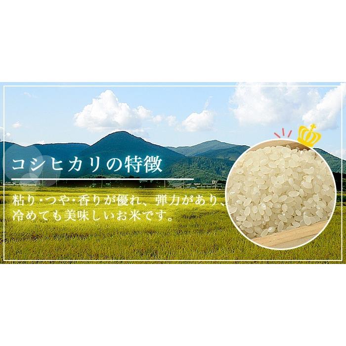 米 お米 令和5年産 福島県中通り産 コシヒカリ 白米10kg(5kg×2個) 送料無料 ※一部地域を除く｜komeyamayoshi｜04