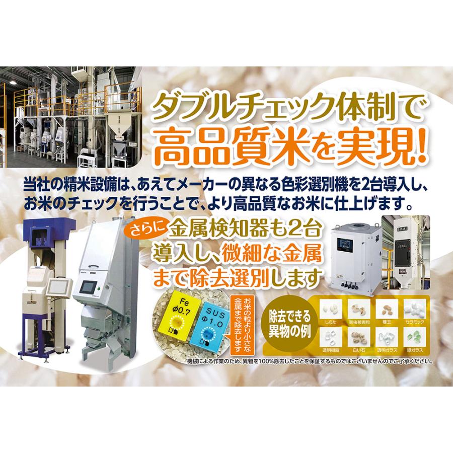 コシヒカリ 米 お米 令和6年産 福島県中通り産 白米10kg(5kg×2個 コシヒカリ 米 お米 令和6年産 福島県中通り産 白米10kg(5kg×2個