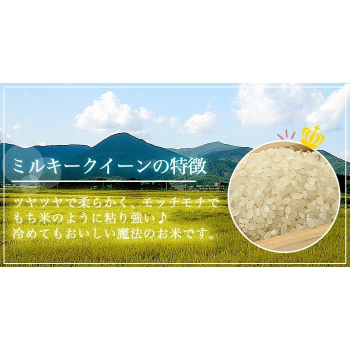 米 お米 令和5年産 福島県中通り産 ミルキークイーン 白米:10kg(5kg×2個)  送料無料  ※一部地域を除く｜komeyamayoshi｜04