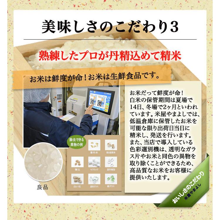 米 お米 令和5年産 福島県中通り産 ミルキークイーン 白米:10kg(5kg×2個)  送料無料  ※一部地域を除く｜komeyamayoshi｜07