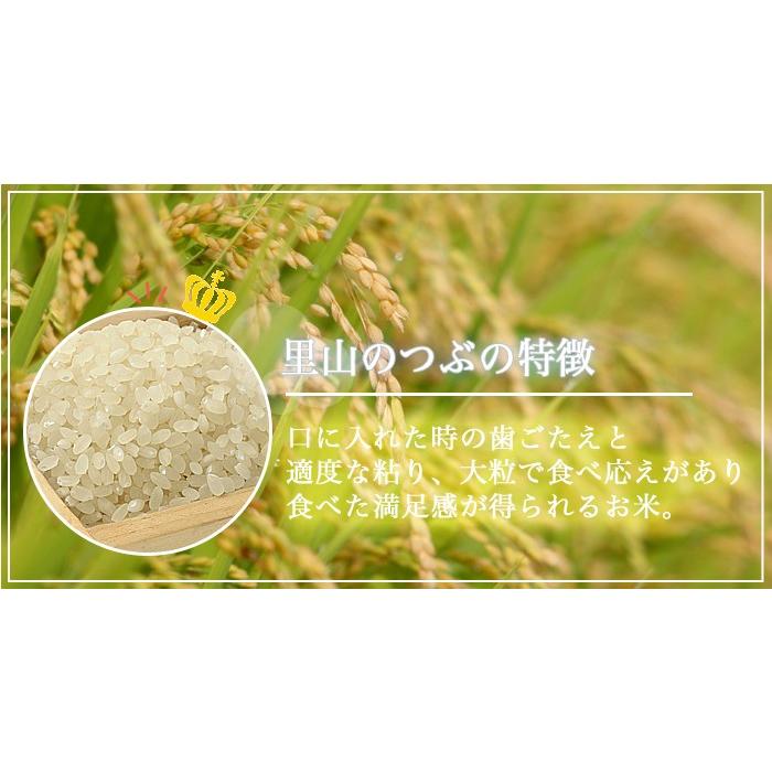 【令和4年産】米 お米 福島県中通り産 里山のつぶ 玄米:30kg(白米:約27kg) 精米無料 送料無料 ※沖縄県・離島対応不可｜komeyamayoshi｜02