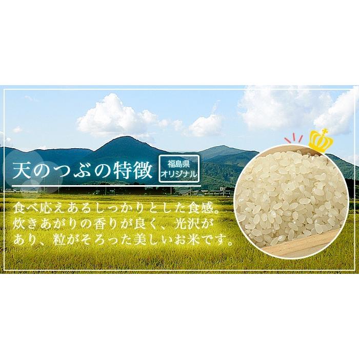 米 お米 令和5年産 福島県中通り産 天のつぶ 玄米:30kg(白米:約27kg) 精米無料 送料無料 ※沖縄県・離島対応不可｜komeyamayoshi｜04