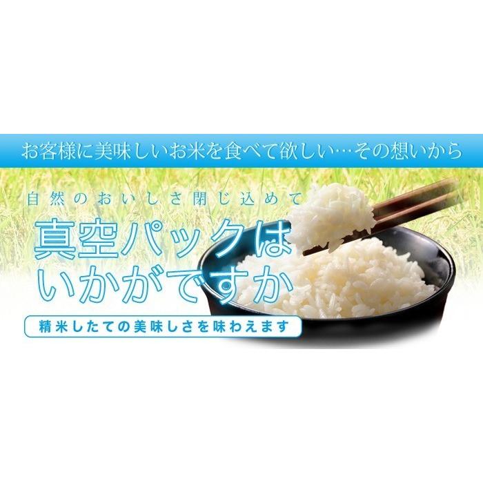 真空パック♪ ネコポス便 福島県産 福、笑い 白米900g（450g×2）令和7年産 ※日時指定不可 |  | 09