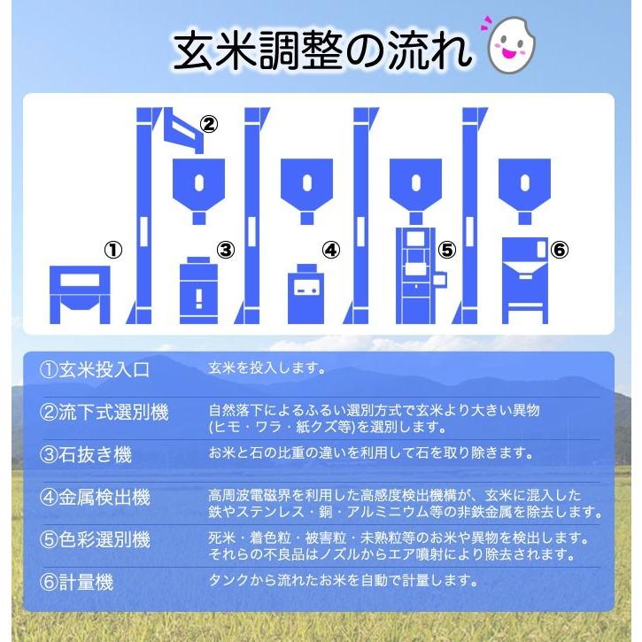 【調整済】福島県中通り産 コシヒカリ 玄米:30kg(5kg×6個) 令和5年産【精米、白米対応不可】※沖縄県・離島対応不可｜komeyamayoshi｜03