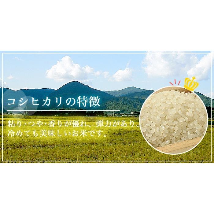コシヒカリ 【調整済】福島県中通り産 玄米:30kg(5kg×6個) 令和6 コシヒカリ 【調整済】福島県中通り産 玄米:30kg(5kg×6個) 令和6