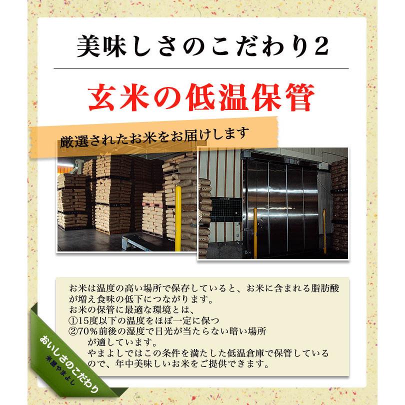 【調整済】福島県中通り産 ミルキークイーン 玄米:10kg(5kg×2個) 令和7年産【精米、白米対応不可】送料無料 ※一部地域を除く ※沖縄県配送不可_5