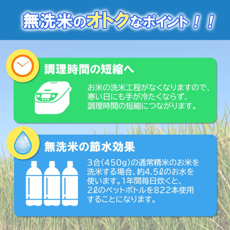 無洗米】業務用 米 お米 令和6年産 福島県中通り産 天のつぶ 無洗米】業務用 米 お米 令和6年産 福島県中通り産 天のつぶ